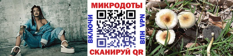 Галлюциногенные грибы мицелий  блэк спрут ONION  Чердынь 